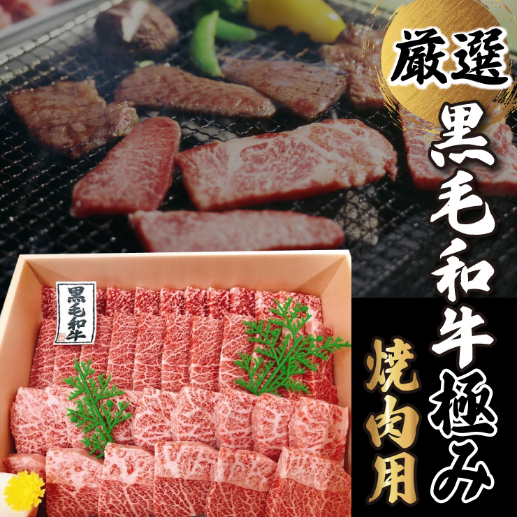 黒毛和牛　極み　焼肉用　箱入り　800g