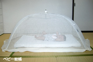 ランキング4位画像