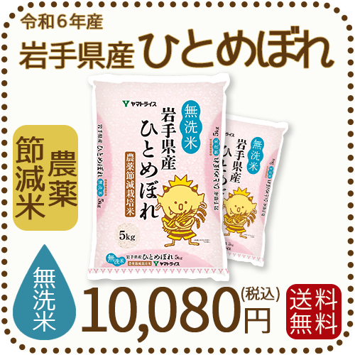 無洗米】岩手県産 農薬節減米 ひとめぼれ10kg（5kg×2袋) 令和6