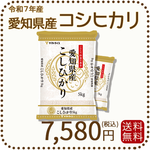 愛知県産コシヒカリ 白米 10kg（5kg×2袋） 米 お米 令和7年産