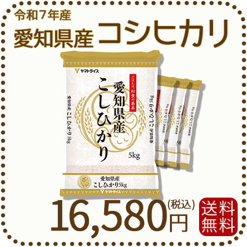愛知県産 コシヒカリ  白米 20kg（5kg×4袋） 米 お米 令和7年産