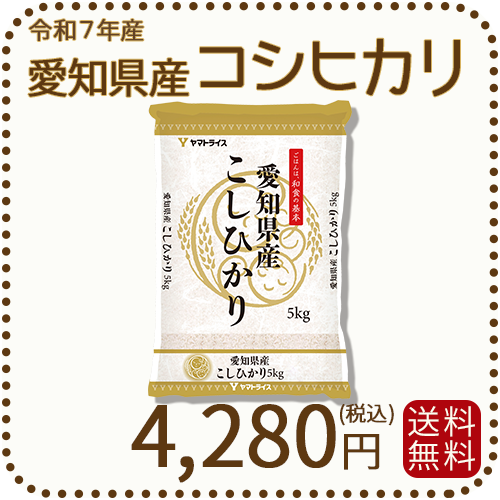 愛知県産コシヒカリ 白米 5kg 米 お米 令和7年産