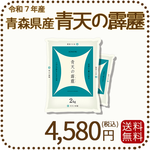 青森県産 青天の霹靂 4kg(2kg×2) 令和7年産