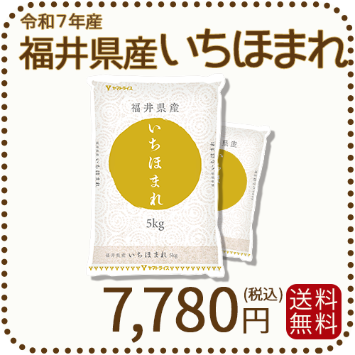 福井県産 いちほまれ 10kg (5kg×2) 令和7年産 特A