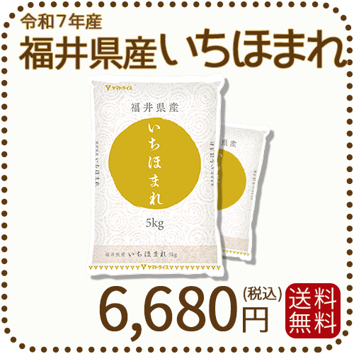 福井県産 いちほまれ 10kg (5kg×2) 令和7年産 特A