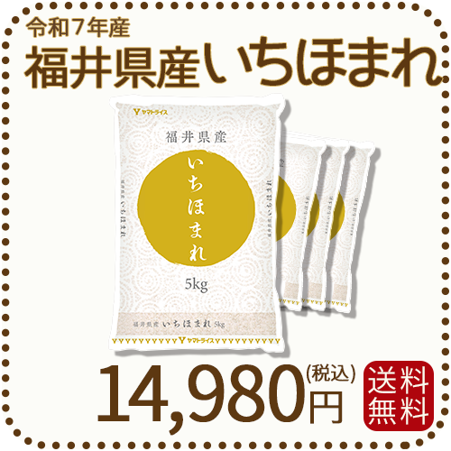 福井県産 いちほまれ 20kg (5kg×4) 令和7年産 特A
