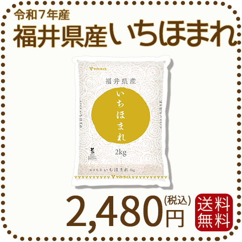 福井県産 いちほまれ 2kg 令和7年産 特A