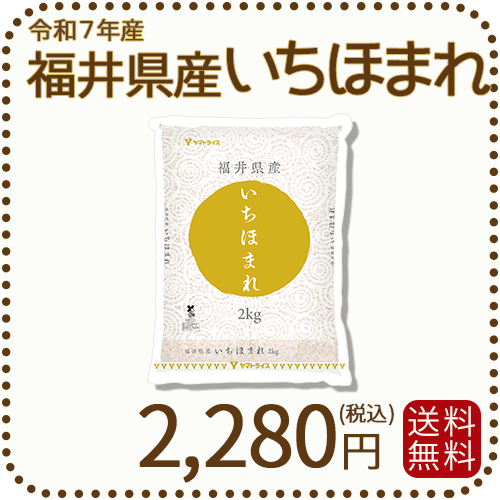 福井県産 いちほまれ 2kg 令和7年産 特A