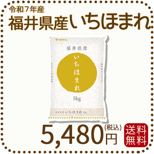 福井県産 いちほまれ 5kg 令和7年産 ヤマトライス 本店