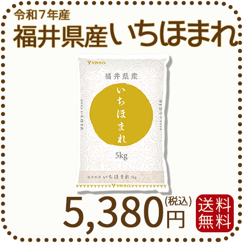 福井県産いちほまれ5kg