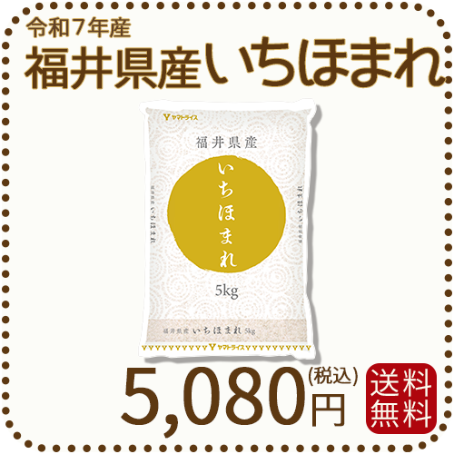 福井県産いちほまれ5kg