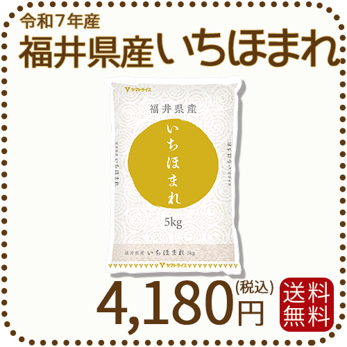 福井県産 いちほまれ 5kg 令和7年産 特A
