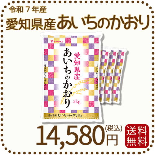 愛知県産あいちのかおり 白米 20kg（5kg×4袋） 米 お米 令和7年産