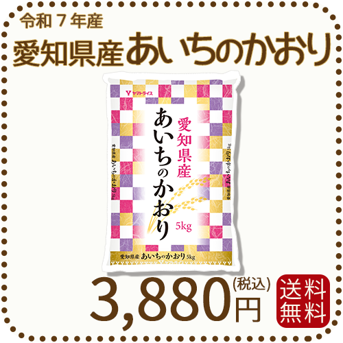愛知県産あいちのかおり 白米 5kg 米 お米  令和7年産