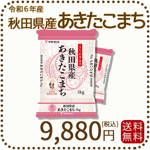 秋田県産あきたこまち 10kg (5kg×2袋) 令和6年産 ヤマトライス 本店
