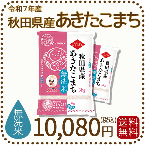 無洗米】秋田県産あきたこまち 10kg（5kg×2袋）