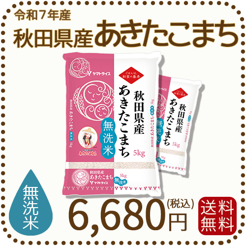 無洗米 秋田県産あきたこまち 10kg (5kg×2袋) 令和7年産 ※9/25最終発送