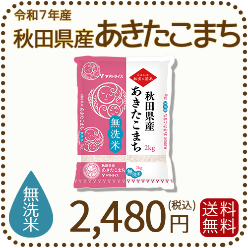 無洗米 秋田県産あきたこまち 2kg (2kg×1袋) 令和7年産