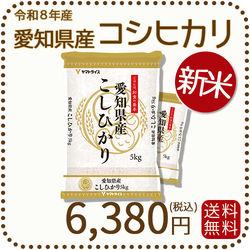 ＜新米＞ 愛知県産コシヒカリ 白米 10kg（5kg×2袋） 米 お米 令和8年産