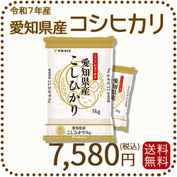 愛知県産コシヒカリ 白米 10kg（5kg×2袋） 米 お米 令和7年産