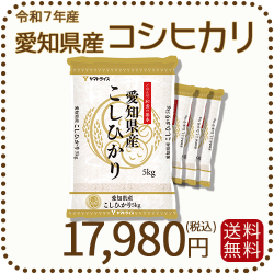 コシヒカリ 愛知県産 白米 20kg（5kg×4袋） 米 お米