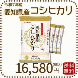 愛知県産 コシヒカリ  白米 20kg（5kg×4袋） 米 お米 令和7年産