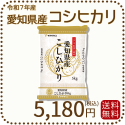 愛知県産コシヒカリ 白米 5kg 米 お米 令和7年産 ヤマトライス 本店