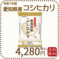 愛知県産コシヒカリ 白米 5kg 米 お米 令和7年産