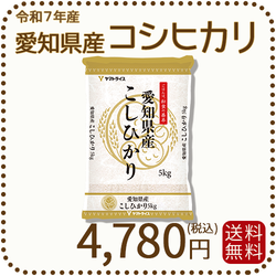 愛知県産コシヒカリ 白米 5kg 米 お米 令和7年産