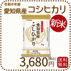 ＜新米＞ 愛知県産コシヒカリ 白米 5kg 米 お米 令和8年産