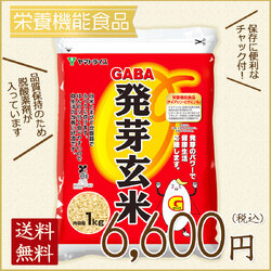 《SALE》【栄養機能食品】GABA 発芽玄米 6kg (1kg×6袋) ※のし同封不可商品※