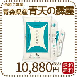 青森県産青天の霹靂 10kg（5kg×2袋） 令和7年産 ヤマトライス 本店