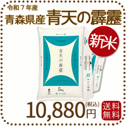新米】青森県産青天の霹靂 10kg（5kg×2袋） 令和7年産 ヤマト