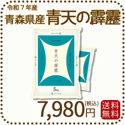 青森県産青天の霹靂 10kg（5kg×2袋） 令和7年産