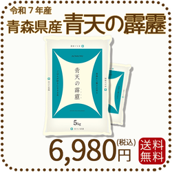 青森県産青天の霹靂 10kg（5kg×2袋） 令和7年産