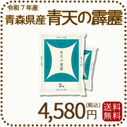 青森県産 青天の霹靂 4kg(2kg×2) 令和7年産