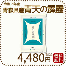 青森県産 青天の霹靂 5kg 令和7年産