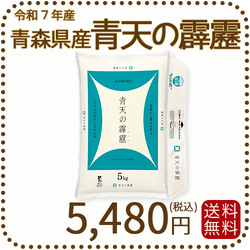 青森県産 青天の霹靂 5kg 令和7年産