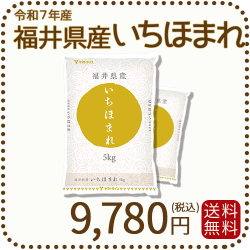 福井県産いちほまれ10kg