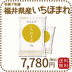 福井県産 いちほまれ 10kg (5kg×2) 令和7年産 特A