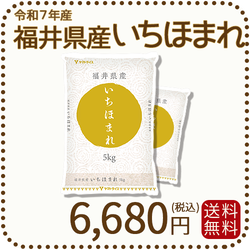 福井県産 いちほまれ 10kg (5kg×2) 令和7年産 特A