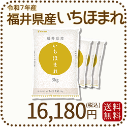 福井県産 いちほまれ 20kg (5kg×4) 令和7年産 特A