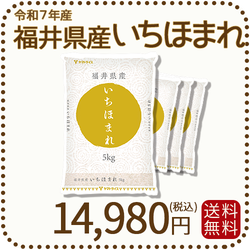 福井県産 いちほまれ 20kg (5kg×4) 令和7年産 特A