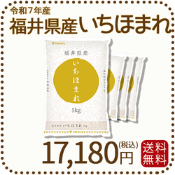 福井県産 いちほまれ 20kg (5kg×4) 令和7年産 特A