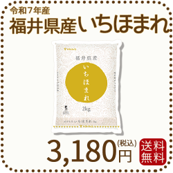 福井県産いちほまれ2kg
