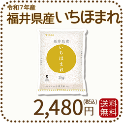 福井県産 いちほまれ 2kg 令和7年産 特A