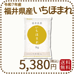福井県産いちほまれ5kg