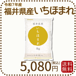 福井県産いちほまれ5kg