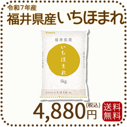 福井県産 いちほまれ 5kg 令和7年産 特A