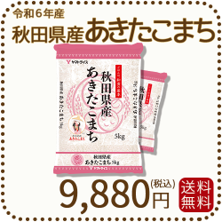 秋田県産あきたこまち 10kg (5kg×2袋) 令和6年産 ヤマトライス 本店